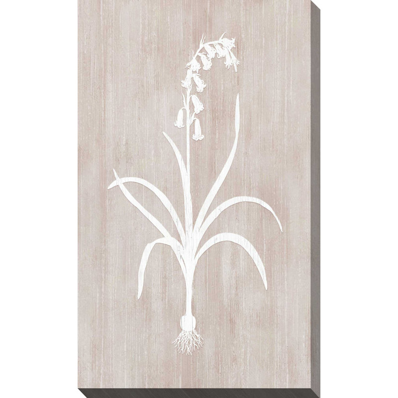 Botany Beauty I - Peinture, L 18 po x H 30 po, Toile tendue