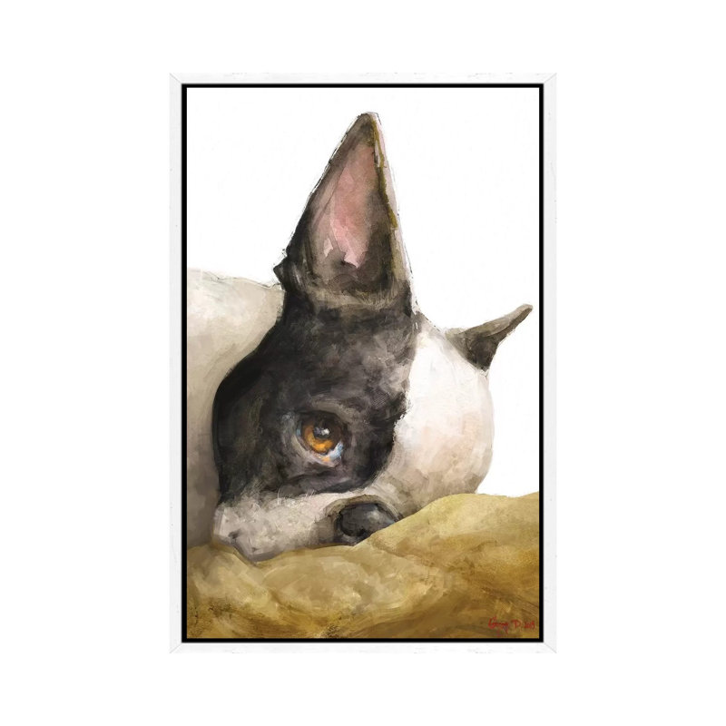 Boston Terrier White Background by George Dyachenko - Painting on Canvas, White Framed, 66.04cm H x 45.72cm W x 3.81cm D