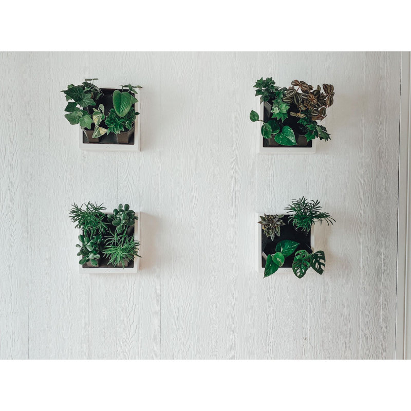 Wall Planter, Black