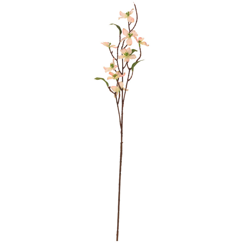 Mini jet de cornouiller - 31,5 po - ensemble de 12