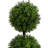 Artificial Boxwood Topiary in Planter-1920586322