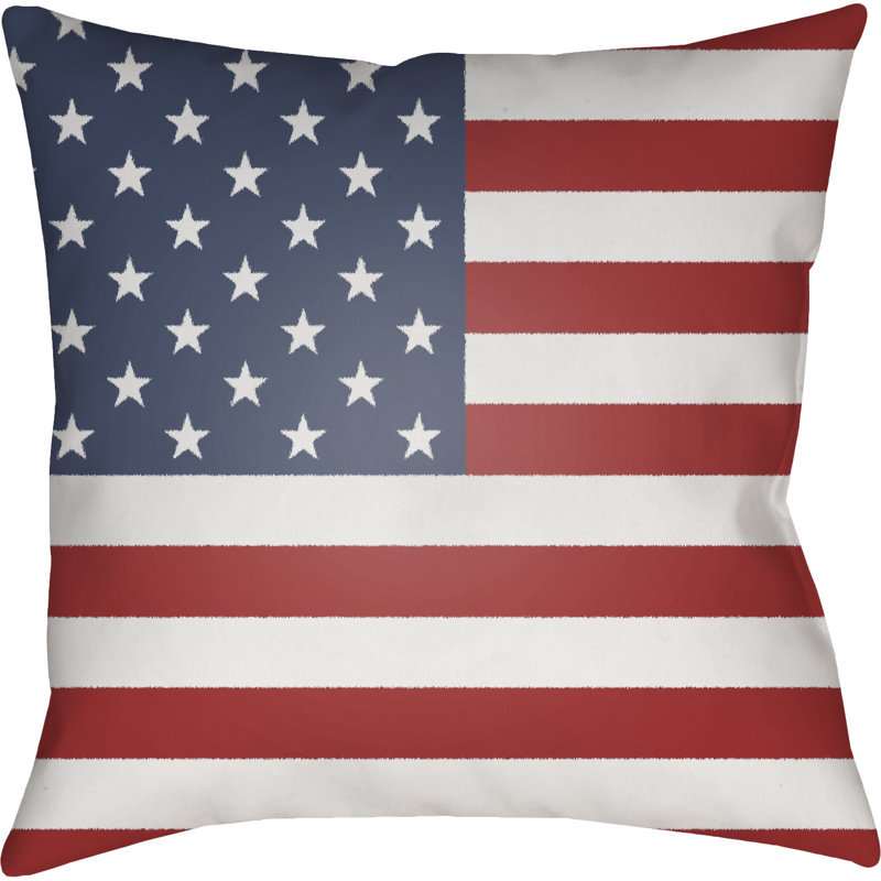 Outdoor Throw Pillow, 18" H x 18" W x 4" D, Blue