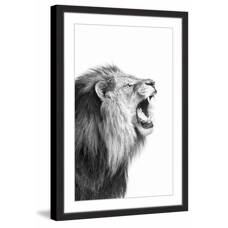 Single Picture Frame Print, 61cm H x 41cm W x 3.81cm D