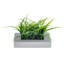 21.1cm Faux Plant