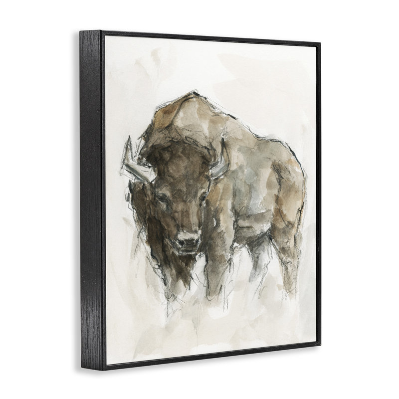 Buffalo Western American Brown Country Animal, Giclée encadrée noir minuit, H 14 po x l 11 po