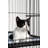 Elmo Cat Cage-1012610380