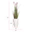 Plante 62 po