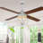 Kahliel 52" Industrial 4-Light Caged Ceiling Fan with Lights and Remote, 6-Speed Reversible Ceiling Fan-507656237-507768121