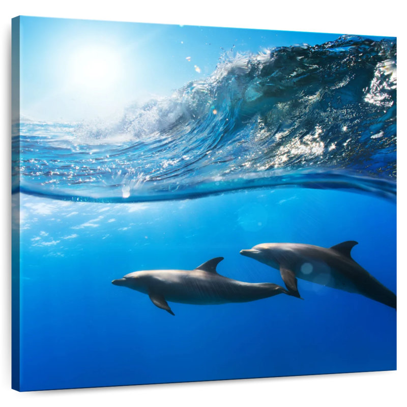 Brampt Dolphin Twosome, 36" H x 36" W