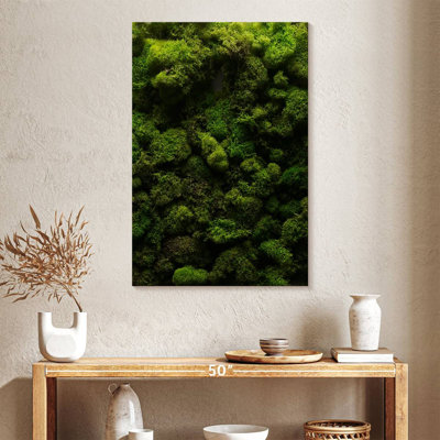 " Thick Moss "
