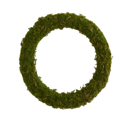 Faux Moss Foam 20'' Wreath