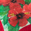 Housse de coussin décoratif en chenille 18 po x 18 po rouge