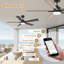 Ventilateur de plafond moderne à 5 pales avec lumières, télécommande et contrôle Alexa, moteur à courant continu silencieux, à intensité variable, intérieur extérieur-1393436457-1393436462