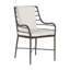 Carmel Patio Dining Armchair with Cushions-63361278-69974638