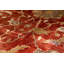 Floral Area Rug in Rust/Yellow