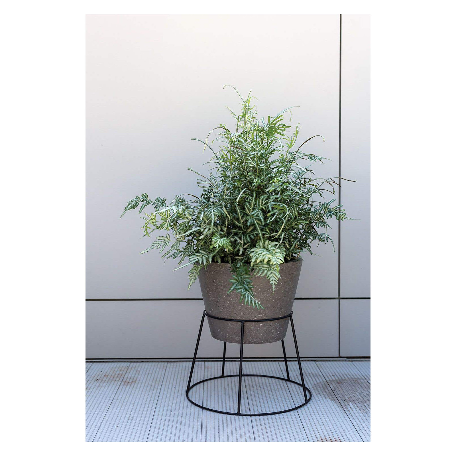 Plant Stand