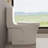 One-Piece 0.8/1.28 GPF Dual Flush Elongated Toilet In Seat Included-102800256