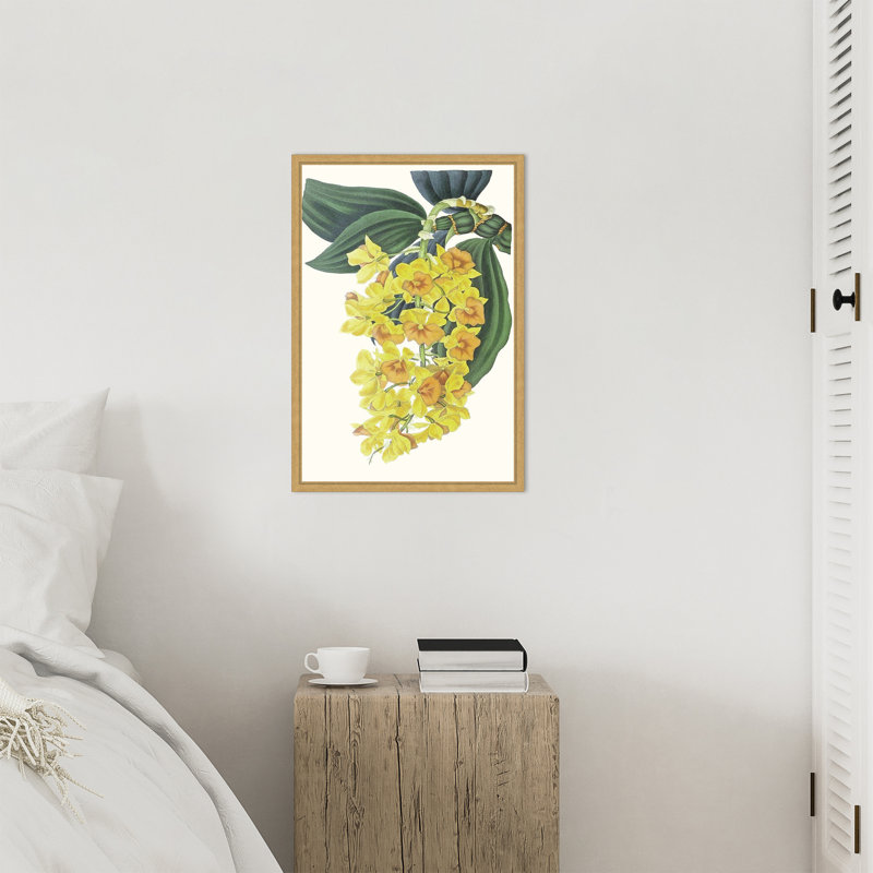 Impression sur toile encadrée «Tropicals VI» par Ciska, H 23 po x l 16 po