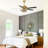 La Mott 52'' Ceiling Fan with Light Kit