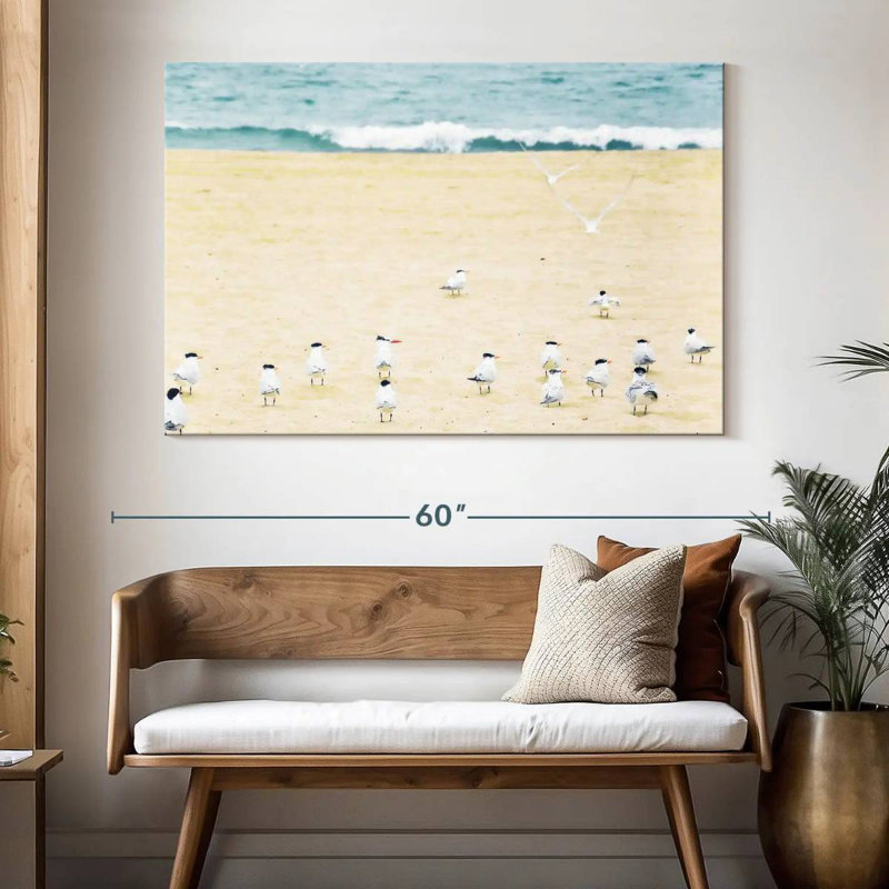 Relaxed Seagulls