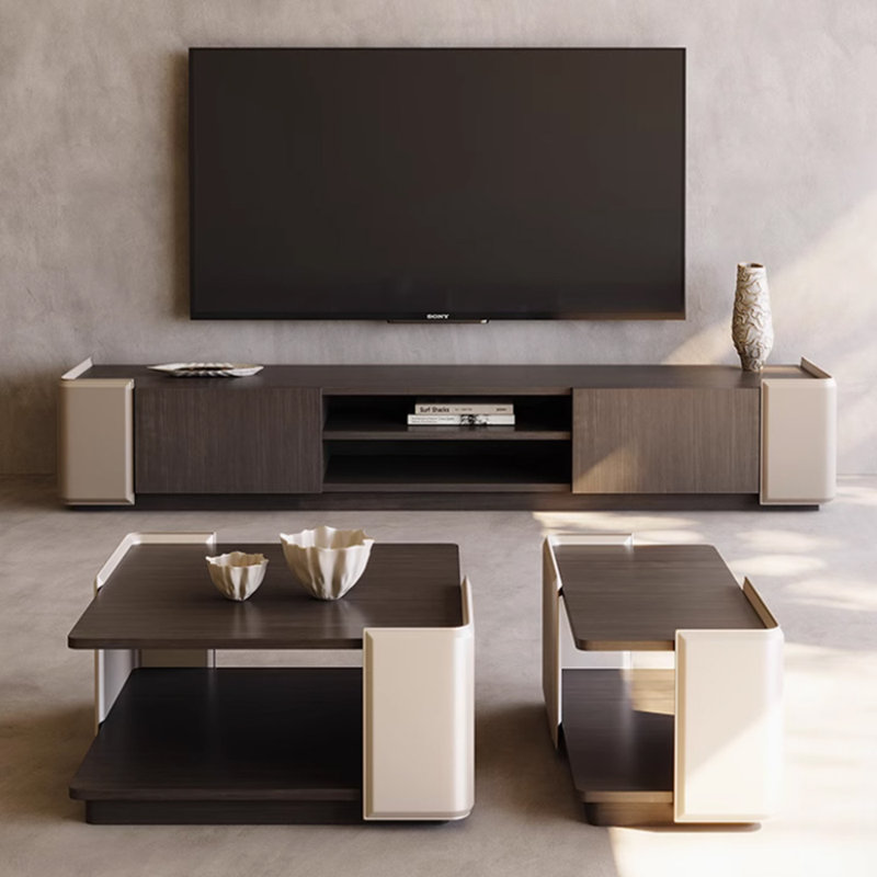 Combinaison meuble télé minimaliste et table basse