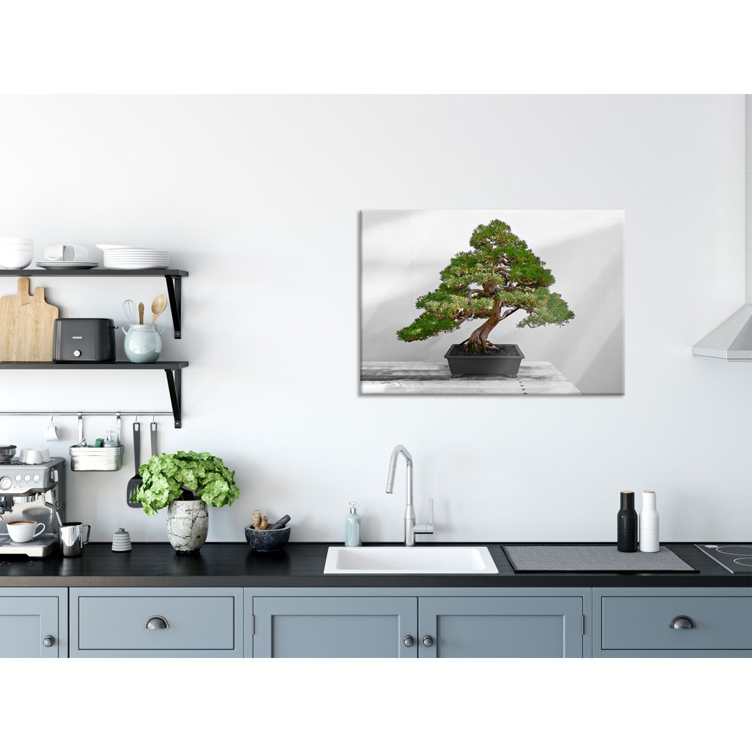 Glasbild Bonsai Baum