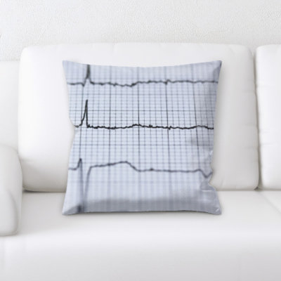 Coussin décoratif scientifique Buchheit