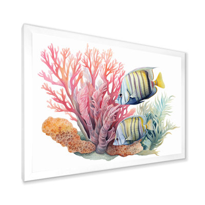 " Beautiful Pink And Blue Butterflyfish II "