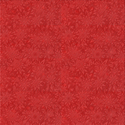Indoor Rug