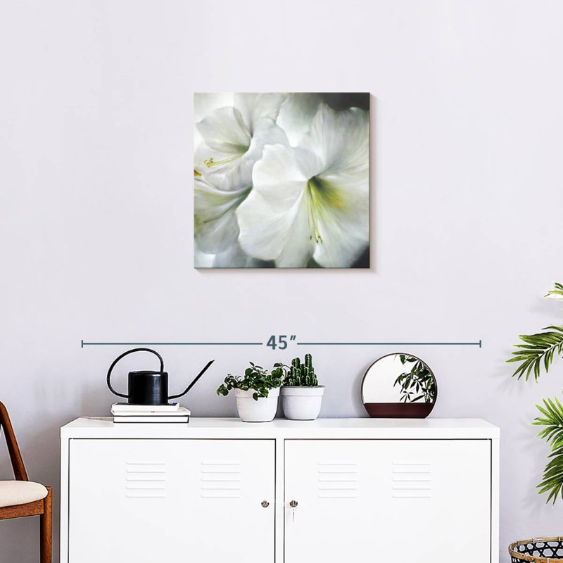 Harnek White Amaryllis II, 20" H x 20" W