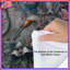 Édredon Floral Birds Fantasy-126685018