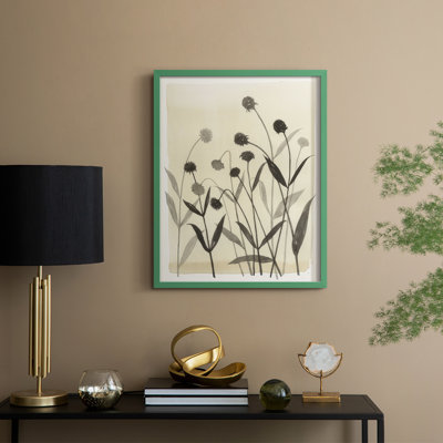 Summer Echinachea II Framed Print - Solid Wood