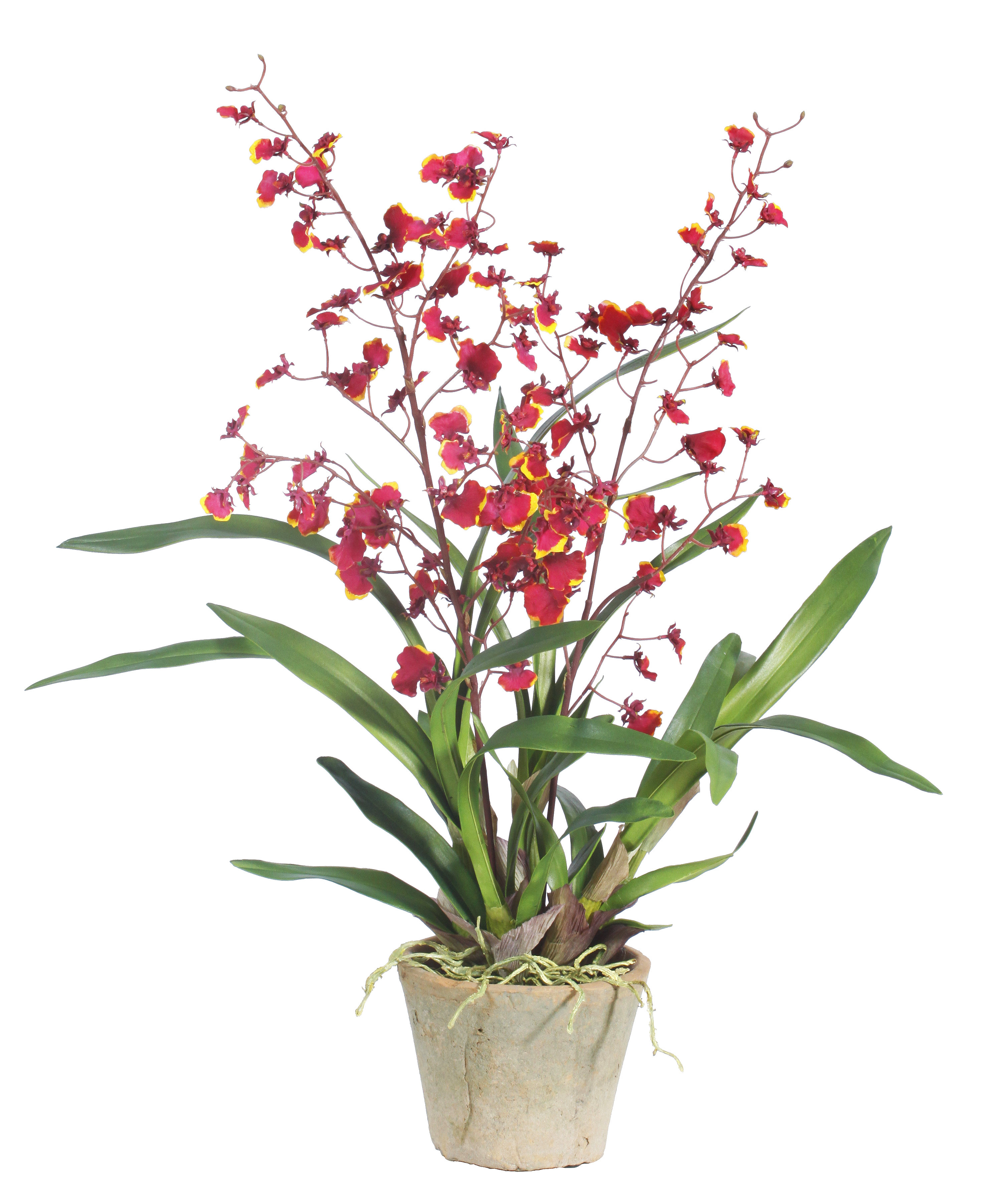 Winward Silks Oncidium Floral Arrangement in Pot Perigold