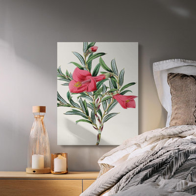 Heuer Wrapped Canvas Print Set