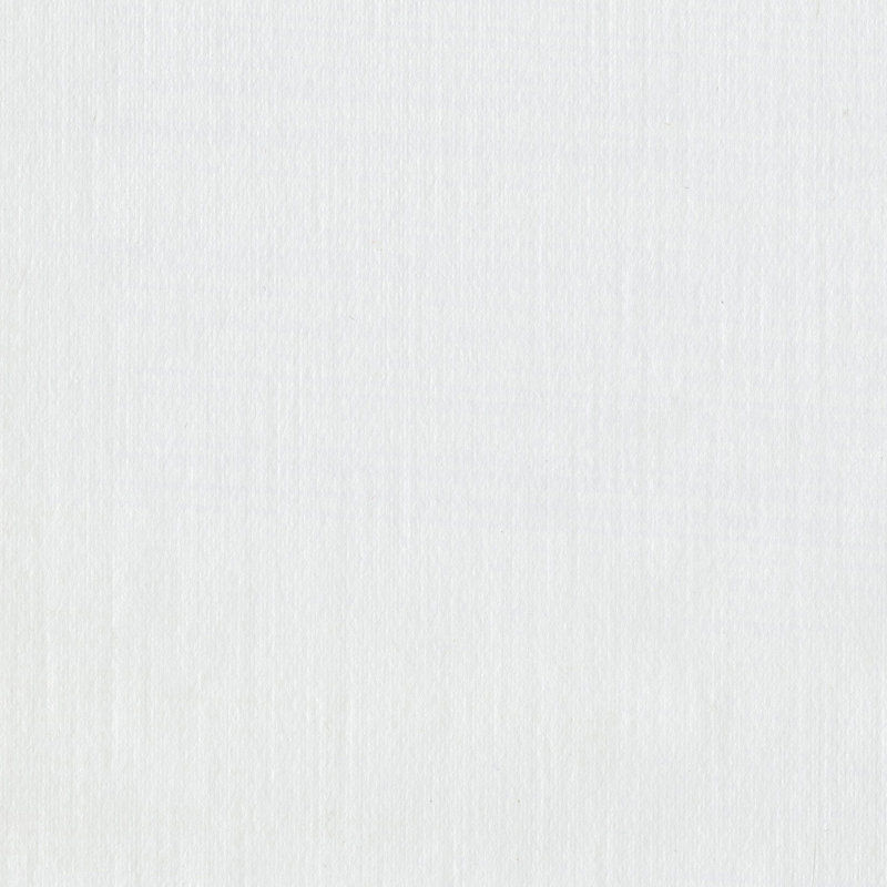 Rouleau de papier peint L 25,8 pi x l 26 po Mendelsohn