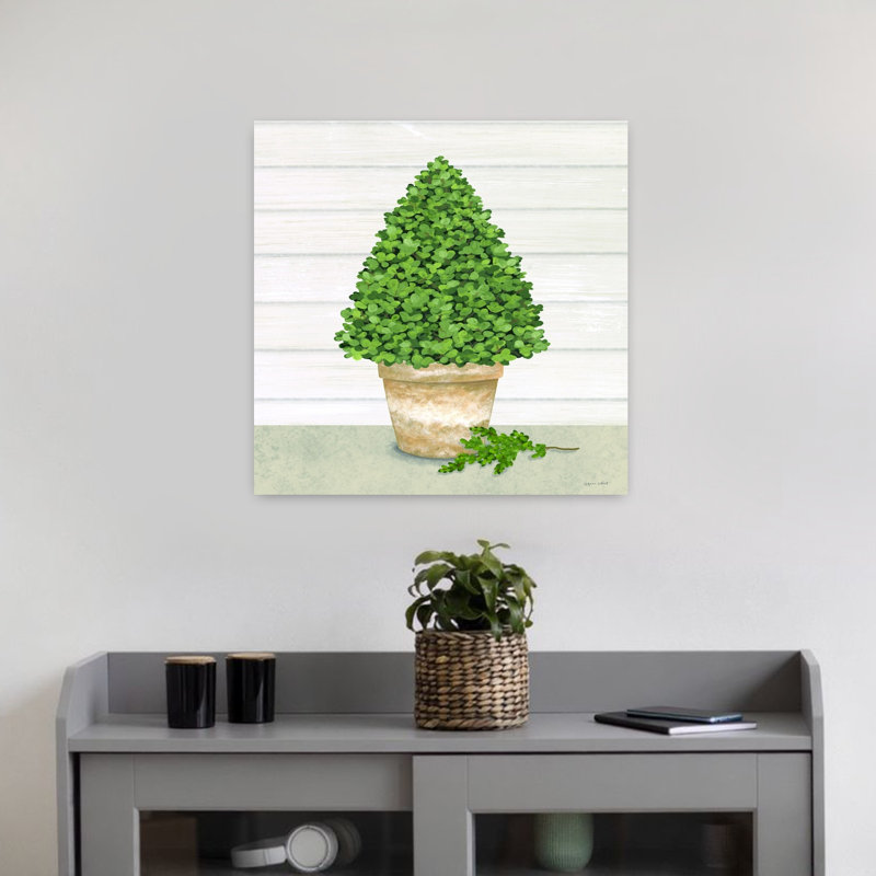 Arbre de buis en pot contemporain, H 18 po x l 18 po