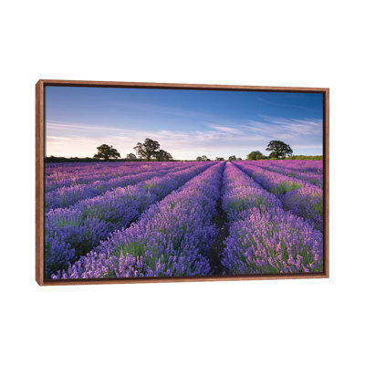 « Lavande Field » par Adam Burton-reproduction de photo