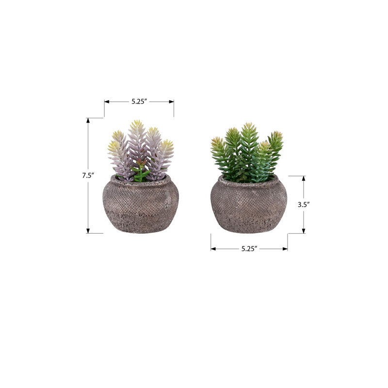 Plante artificielle, ensemble de 2, hauteur de 8 po, plante grasse, pots de ciment brun, contemporain, moderne