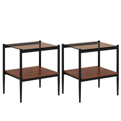Finkelstein Tempered Glass Side Tables with Shelf