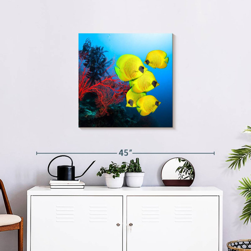 Brampt Coral Reef Fish, 24" H x 24" W