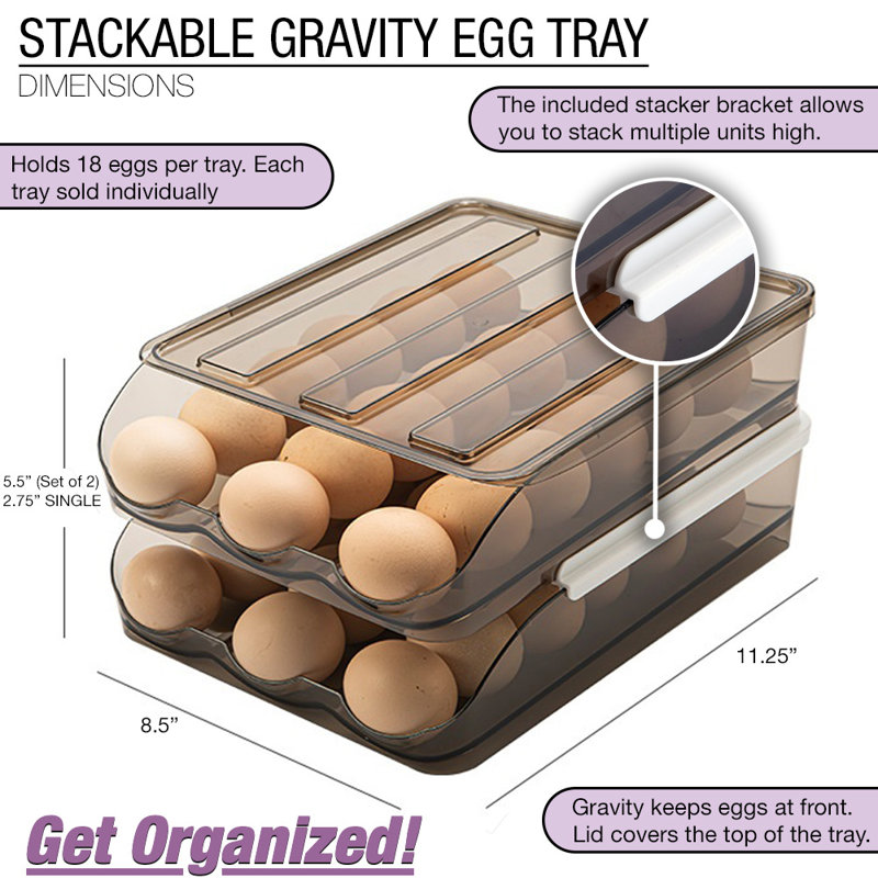 Fitzgibbons Food Storage Container