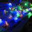 Guirlande de 20 lumières 40 DEL-777358192-683644782
