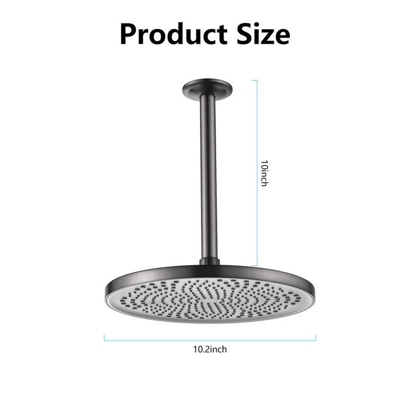 Pomme de douche pluie 2 GPM GPM, Métal industriel