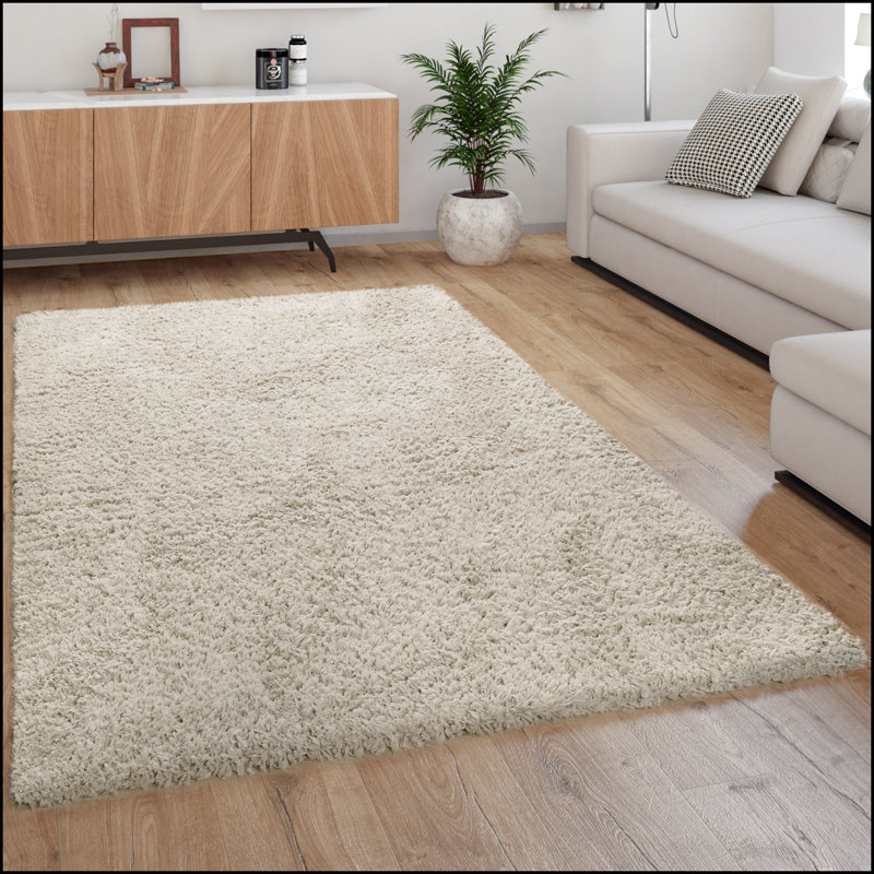 Blazek Solid Colour Shag Area Rug, Round 160cm