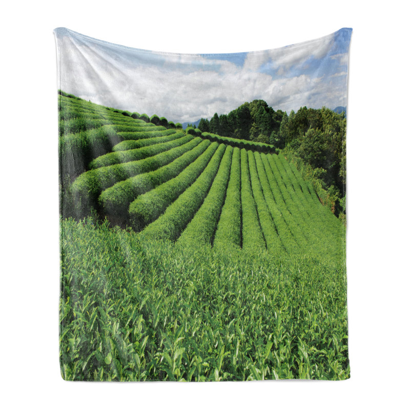 Hand Woven Throw Blanket, 60" x 80"