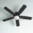 Stembridge 52'' Ceiling Fan with LED Lights-805818255-867275345
