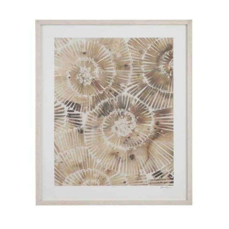 Fossil Nautilus I, reproduction encadrée
