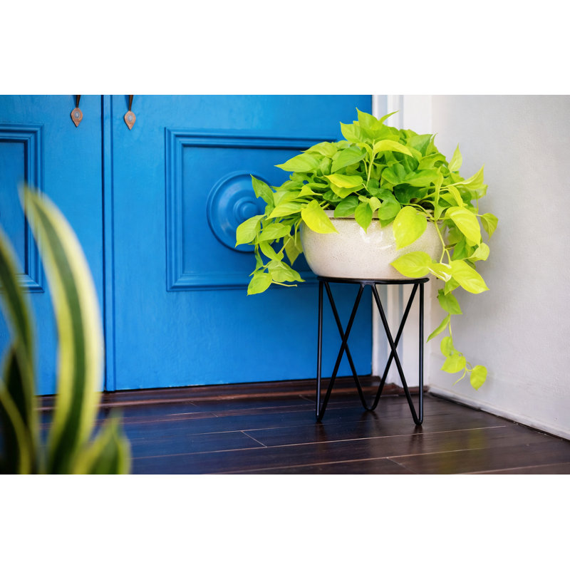 Support à plante rond en métal 10 po - Noir, H 13,05 po x L 10 po x P 10 po