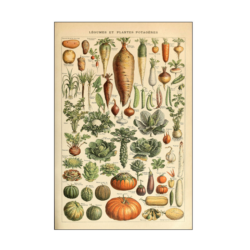 Art sur toile, collection Vintage Apple, H 22 po x l 32 po