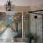 Photos des clients 1 de 2
